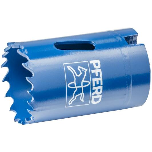 pferd_25100832