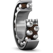 skf_1302etn9