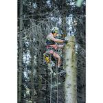dewalt_dcmcst635n_xj