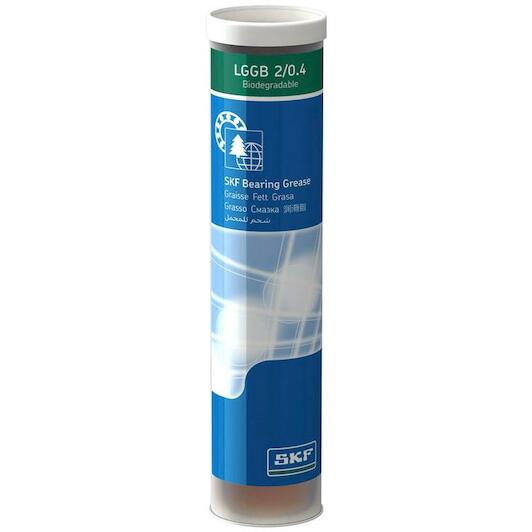 skf_lggb204