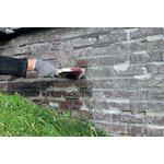 rectavit_114585_2