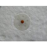 spit_060001_6