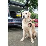 karcher_26438740