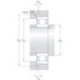 skf_6305_2znr_3