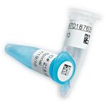brady_805919_2
