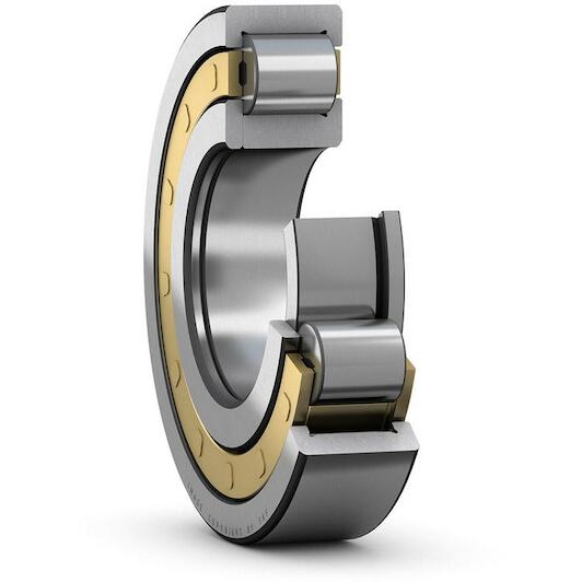 skf_nup218ecmc4
