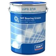 skf_lgfq218