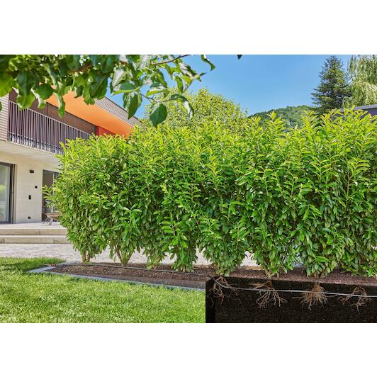 gardena_13503_20