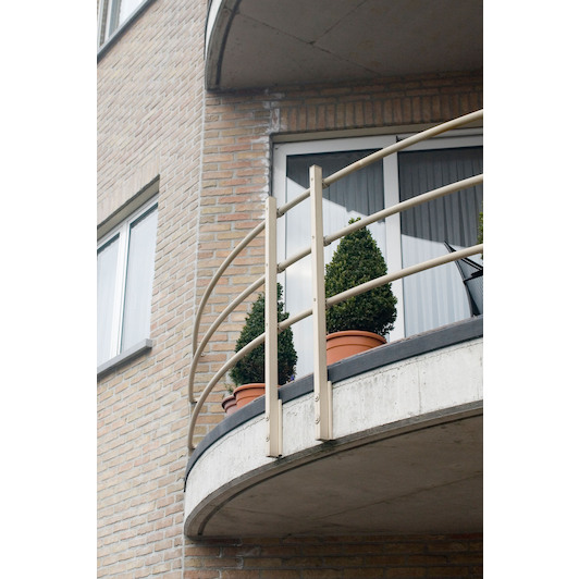 rectavit_127031_3