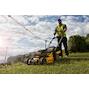 dewalt_dcmw564n_xj