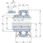 skf_p12tf_2