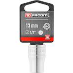 facom_s13pb