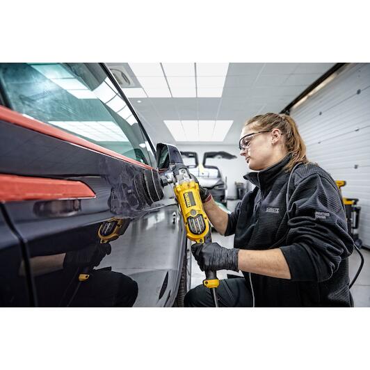dewalt_dwp849x_qs
