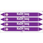 brady_n003912