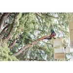 milwaukee_4933480869