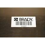brady_030290_3