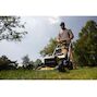 dewalt_dcmwp134n_xj_9