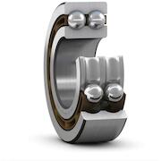 skf_4301atn9