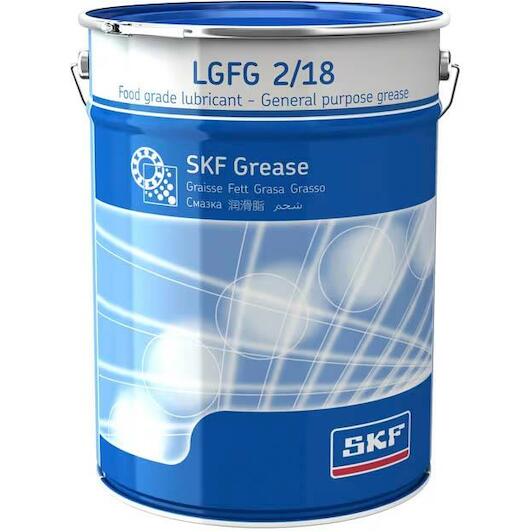 skf_lgfg218