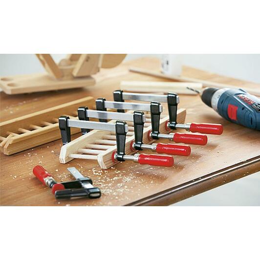 bessey_lm2010