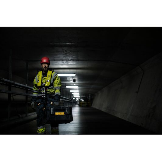 dewalt_dwst83294_1_4