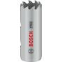 bosch_2608901493
