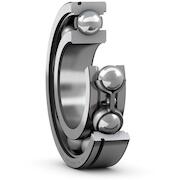 skf_6007n