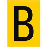 brady_911290
