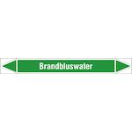 brady_n005801