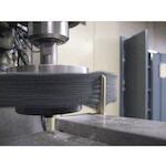 pferd_79184139_3