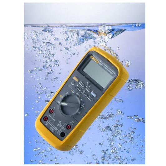 fluke_3947820_3