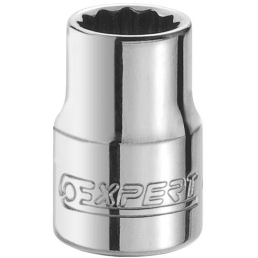 expert_e117076