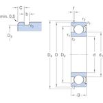 skf_6309_znr_2