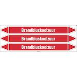 brady_n003990